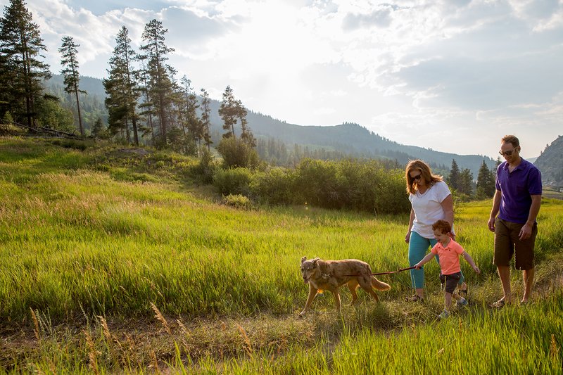 Top 5 Dog-Friendly Trails In Eagle County